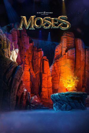 Moses Sight & Sound Streaming on Wonder Project