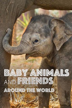Baby Animals and Friends Around the World