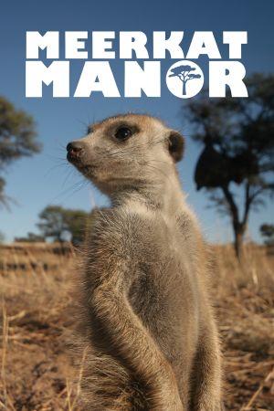 Meerkat Manor