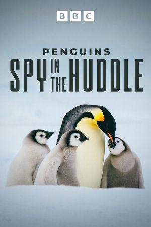 The Penguin Spy in the Huddle